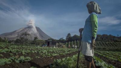 farmer looks at volcano