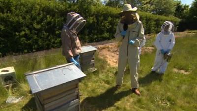 Bill Cadmore from Bradford Beekeepers Association met pupils from Low Ash Primary School