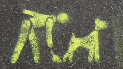 A stencil on the pavement asking you to clean up after your dog, in Havering in London