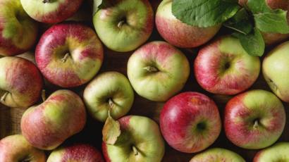 هل سيختفي التفاح الأحمر قريبا من الأسواق بسبب التغير المناخي