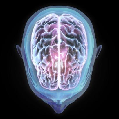 Imagen de un cerebro
