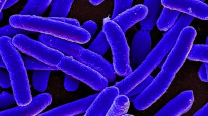 Charnwood Fatal E Coli Infection Source May Never Be Found