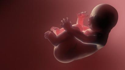 Ilustración de un feto en el vientre.