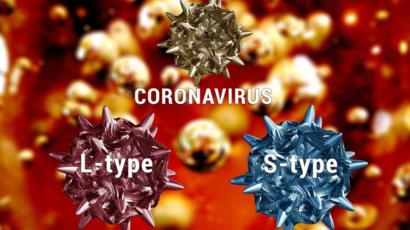 virus adn concepto virus adn concepto