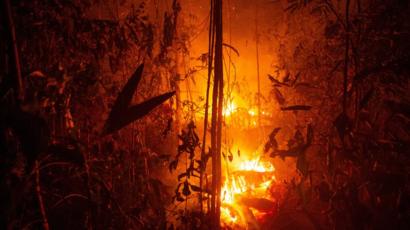 حرائق غابات الأمازون عملية واسعة في البرازيل لمواجهة موجة حرائق