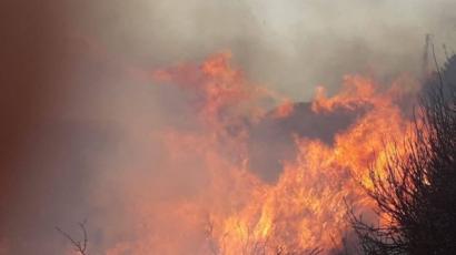 لبنان يشهد عشرات الحرائق الضخمة ويطلب مساعدة خارجية Bbc News Arabic