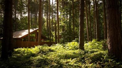 Eco Cabins Resort Planned For Near Ben Nevis Bbc News