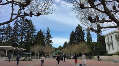 Sân trường Đại học Berkeley giờ trưa thường đông sinh viên nhưng hôm 10/3 rất vắng