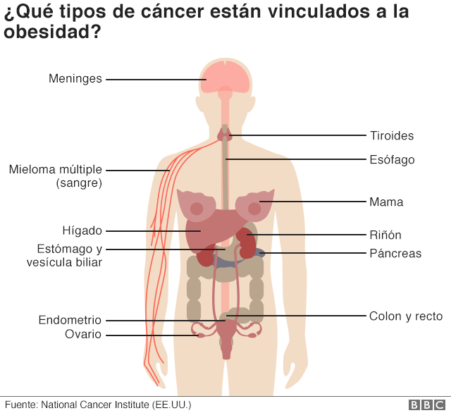que causa el cigarro en nuestro cuerpo