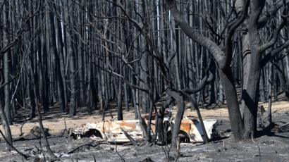 Image result for Australia Wildfires Were Far Worse Than Climate Models Predicted