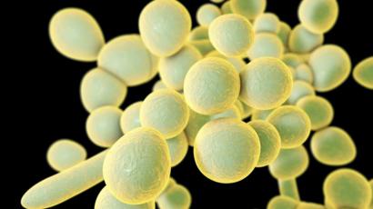 ¿Pueden ciertos alimentos causar infecciones por hongos?