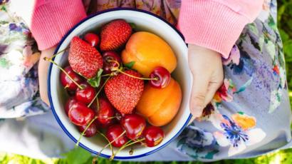 dieta vegetariana para ninos