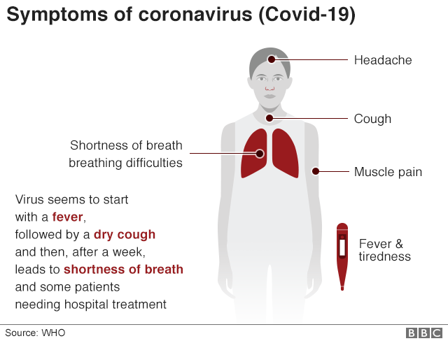 Information On The Outbreak Of 2019 Novel Coronavirus ...