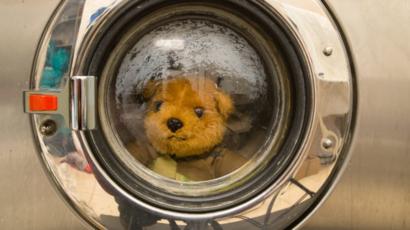 washing teddy bear in washing machine