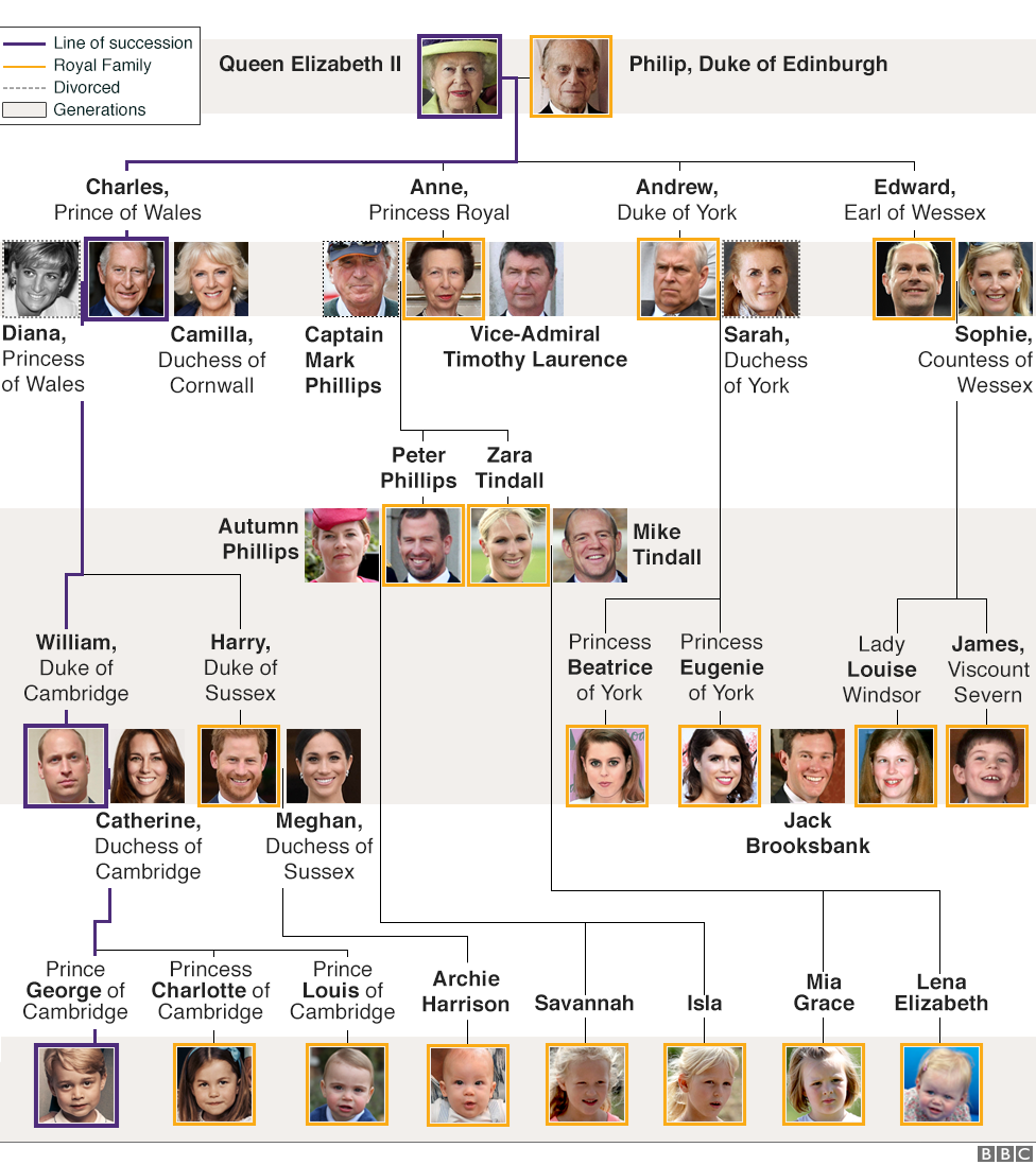 Royal Family Tree And Line Of Succession Bbc News