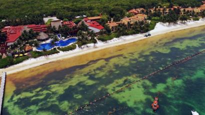 Una playa de Puerto Morelos con problemas de sargazo