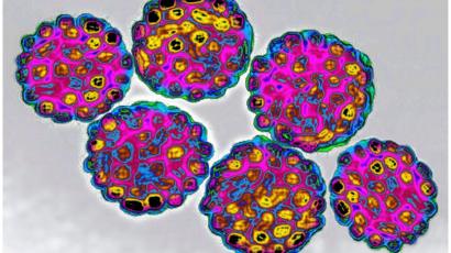 consecuencias del virus del papiloma humano en mujeres embarazadas