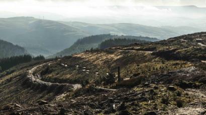 dyfi bike park