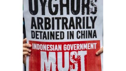 Demo pro Uighur