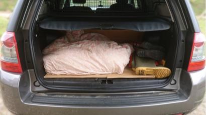 dog in boot of car