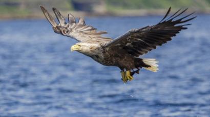 In Pictures Scottish Nature Photography Awards Winners 2015