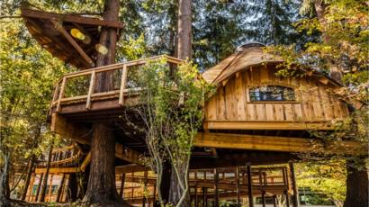 Living In A Woodland Wonderland The Rise Of The Tree House Bbc News