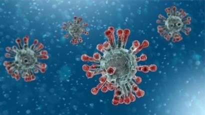 肺炎疫情： BBC分析抗疫成功三大选项和时间线- BBC News 中文