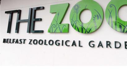 Belfast Zoo Calls To Close Victorian Peep Show Bbc News