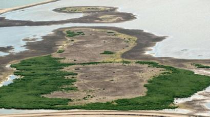 Kisah Pulau Buatan Di Belanda Yang Menyelamatkan Masa Depan Satwa