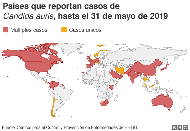 imágenes de infección de la piel por candidiasis