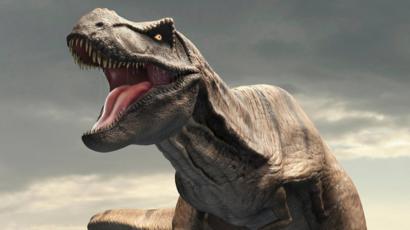 Un Mito Errado El Temible Tyrannosaurus Rex No Podia Sacar La