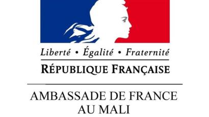 Pour la France, les propos de Salif Keïta sont de nature à "semer la discorde".