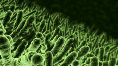 bacterias