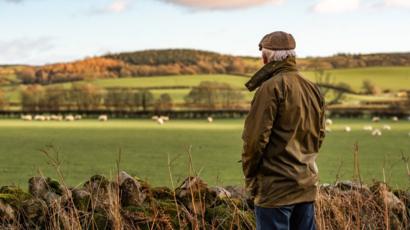 Upland And Marginal Farms To Benefit From Subsidy Bbc News