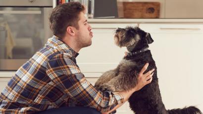 Why Using Baby Talk Improves Our Bond With Dogs Bbc News