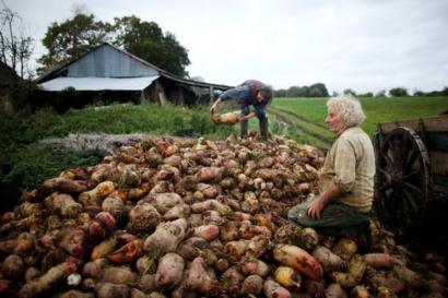 Farming