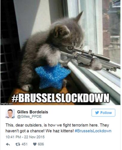 Belgians Tweet Cat Pictures During Brusselslockdown Bbc News