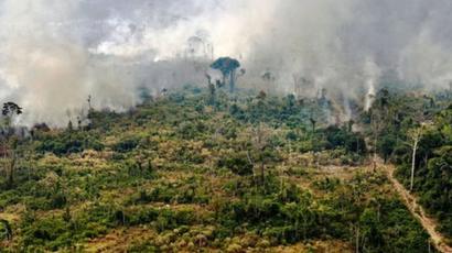 حرائق غابات الأمازون ليوناردو دي كابريو يتبرع بخمسة ملايين دولار