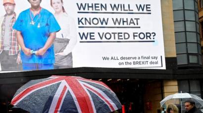 Who Are Anti Brexit Group Best For Britain Bbc News