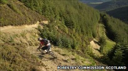 glentress new trails