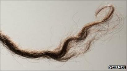 Lock Of Hair Pins Down Early Migration Of Aborigines Bbc News