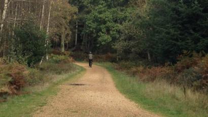 new forest road cycle routes