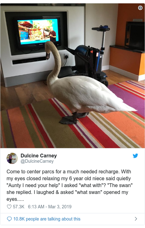 Swan Watches Cbeebies In Sherwood Center Parcs Lodge Bbc News