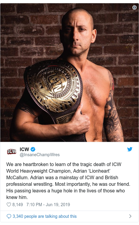 lionheart icw
