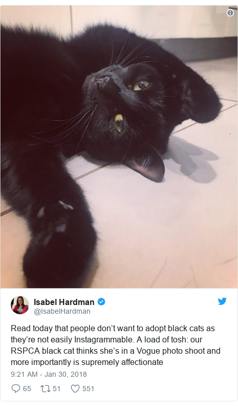 Black Cats Shunned For Purr Fect Selfies Bbc News