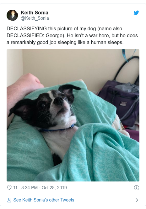 Baghdadi Trump Tweet Inspires Declassified Dog Pictures Bbc News