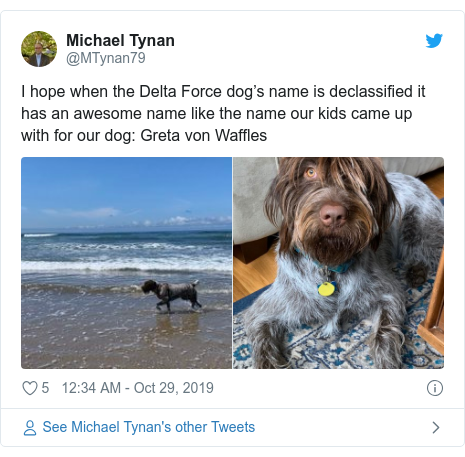 Baghdadi Trump Tweet Inspires Declassified Dog Pictures Bbc News