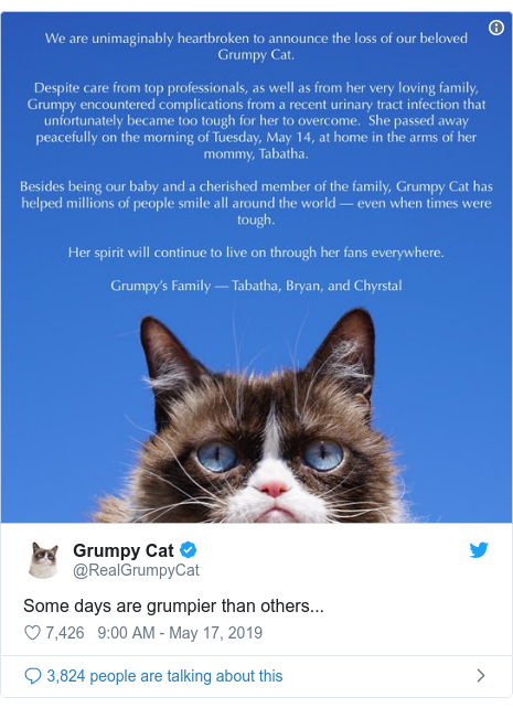 Grumpy Cat Internet Legend Dies Bbc News