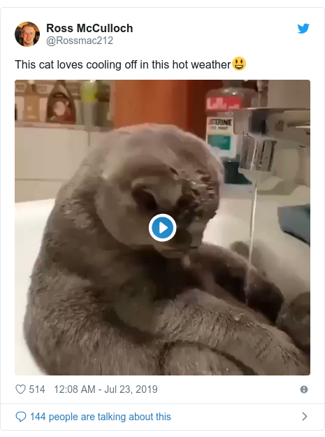Funny Meme Hot Weather Funny Png