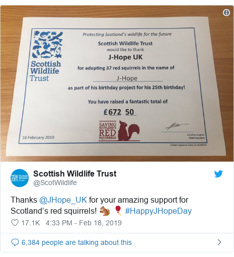 J Hope Bts Fans Save Squirrels For K Pop Star S Birthday Bbc News